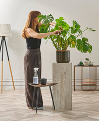 A woman in a black top and dark wide leg pants waters a large plant. The plant sits in a dark pot on a light-colored pedestal.