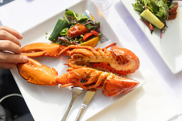 Family with children, having lunch in a restaurant in Coppenhagen, eating local fish and lobster thermidor with salad and fries