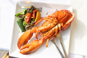 Family with children, having lunch in a restaurant in Coppenhagen, eating local fish and lobster thermidor with salad and fries