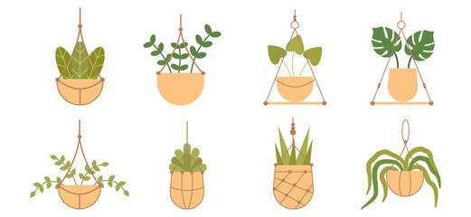 Vector illustration of a home plant in a hanging pot, perfect for interior decoration themes, featuring minimalist style and indoor greenery concept.