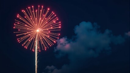 Single Firework Burst Against Dark Sky