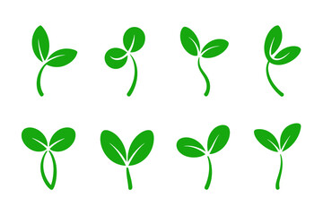 Obraz premium Green sprout plant growth stages vector illustration