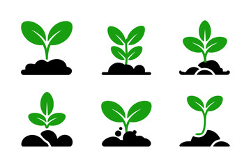 Seedling plants growing in soil vector illustration