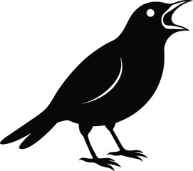 vector illustration of a Black Cowbird