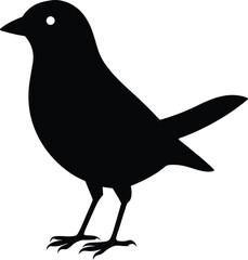 vector illustration of a Black Cowbird