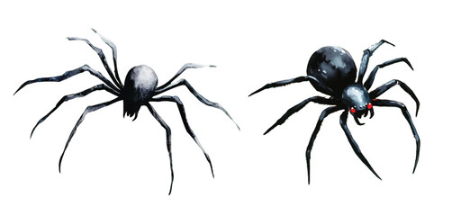 Watercolor halloween spiders hand drawn vector illustration
