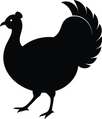 vector illustration of a Turkey