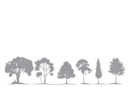 Rows of tree silhouettes standing parallel beside the road. vector illustration