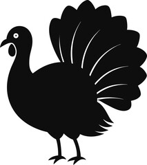 vector illustration of a Turkey