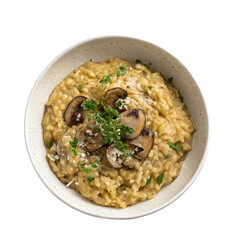 Delicious fried rice dishes with chicken or pork, a hearty and flavorful meal