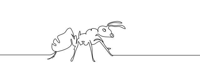 continuous line ant Vector art lines, transparent background, edit stroke