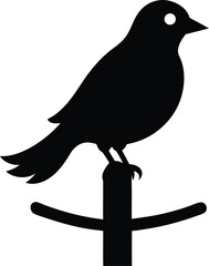 vector illustration of a Black Cowbird