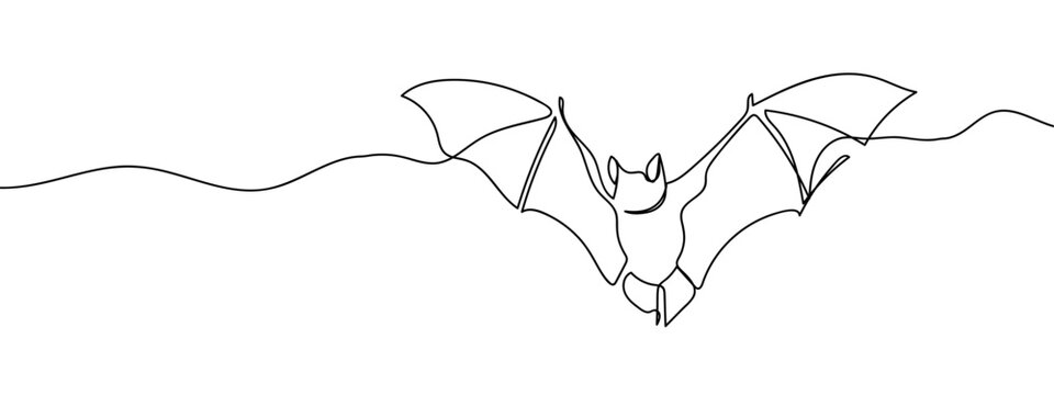 continuous line bat Vector art lines, transparent background, edit stroke