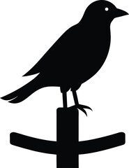 vector illustration of a Black Cowbird