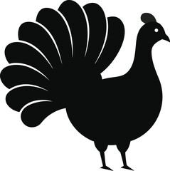 vector illustration of a Turkey