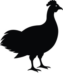 vector illustration of a Turkey