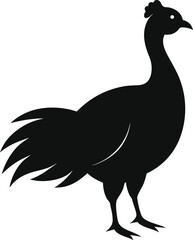 vector illustration of a Turkey