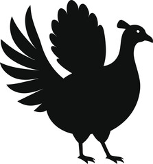 vector illustration of a Turkey