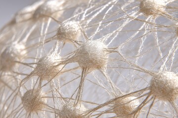 Detailed Neural Network Structure