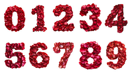a set of numbers 0-9 made from rose petals on transparent background PNG