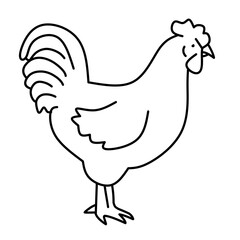 Chicken Vector Line