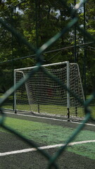 goal on the football field