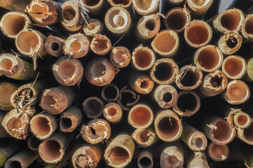 A close up picture of bamboo for furniture usage