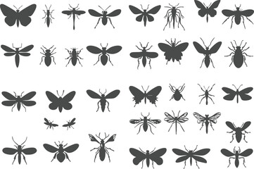 Vector silhouettes of insects, butterflies, spiders and cockroaches on white background