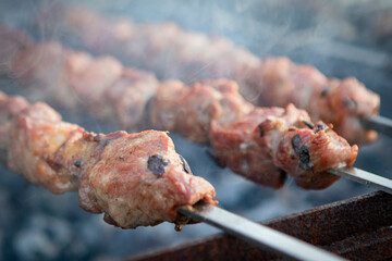Marinated meat pieces on skewers lie on the grill and are fried on coals. Cooking pork shashlik. Outdoor recreation
