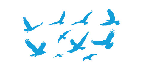 Vector silhouettes of eagles, doves and pigeons in one set. Versatile minimalist style for design projects themed on nature, freedom, love or strong spiritual symbolism.