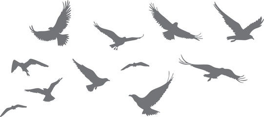 Vector silhouettes of doves and pigeons in various poses: flying, perched, and carrying branches. Symbols of peace and affection, ideal for invitations, logos, or digital artwork.