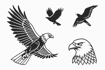 Obraz premium eagle vector illustration