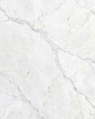 Obraz premium White Marble Texture with Elegant Gray Veins and Polished Stone Surface