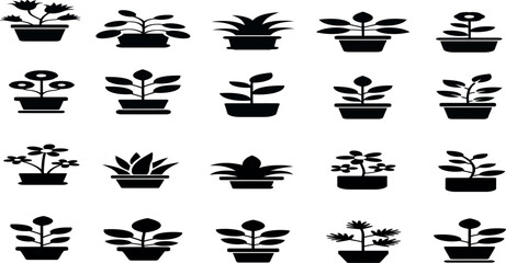 Silhouette Set of Indoor Potted Plants and Decorative Flower Icons

