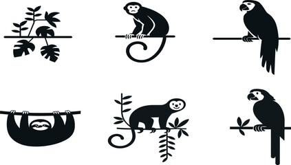 Wildlife and Nature Scene Collection

