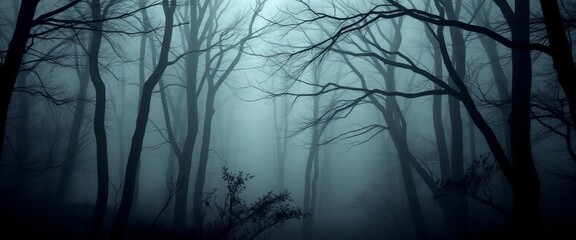 Obraz premium Monochrome image of ethereal misty forest, shrouded in dense fog, dark trees, branches, deep shadows, trees, monochrome
