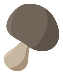  Pleurotus eryngii mushroom with brown caps and thick light legs on a white background