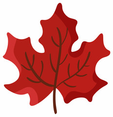 Maple leaf vector illustration