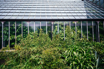 Exterior View of Greenhouse at Glasgow Botanic Gardens
