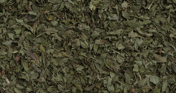Dried, chopped peppermint leaves as a background. Dry herb texture. Flat lay. Table spin.