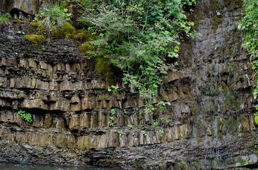 Mountains Carpathians. Ukraine. Beauty of nature