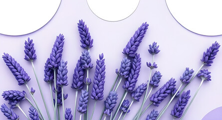 Lavender flowers background, Lavender field background, Purple flower background, Floral lavender backdrop, Lavender bloom texture, Soft lavender background, Botanical lavender scene, Lavender pattern