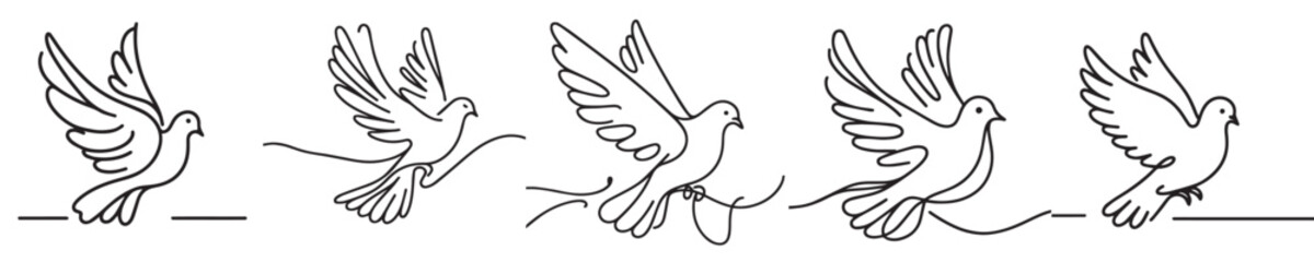 continuous line style pigeon vector