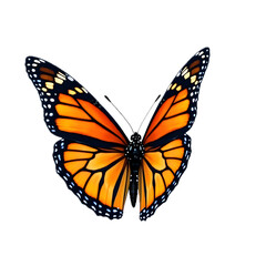 Fototapeta premium Colorful butterfly with transparent background for delicate designs.