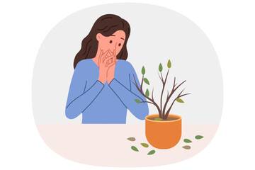 Dried out houseplant in pot causes stress to upset woman who is interested in botany. Discouraged girl sees sick houseplant that has become victim of pests or low-quality fertilizers