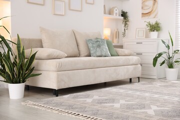 Comfortable sofa and stylish rug in room. Interior design