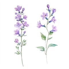 Watercolor Purple Floral Arrangement