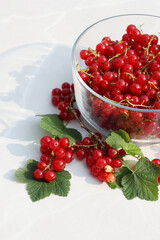 Bright red currants in a bowl with green leaves highlight their freshness and flavor on clear gray table with summer  sun light and shadows.