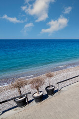 Inviting coastal scene with potted plants providing a foreground, leading the eye to the expansive,...