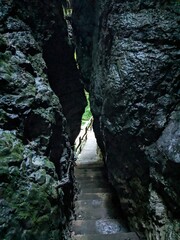 Deep narrow Pokljuka Gorge in Slovenia surrounded by steep cliffs, dense forest, and hiking trails.